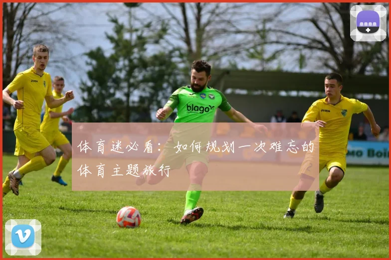 体育迷必看：如何规划一次难忘的体育主题旅行