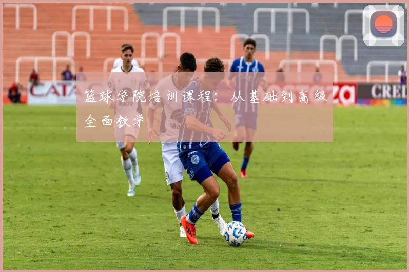 篮球学院培训课程：从基础到高级全面教学