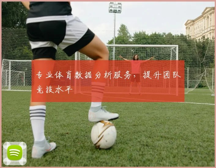 专业体育数据分析服务，提升团队竞技水平